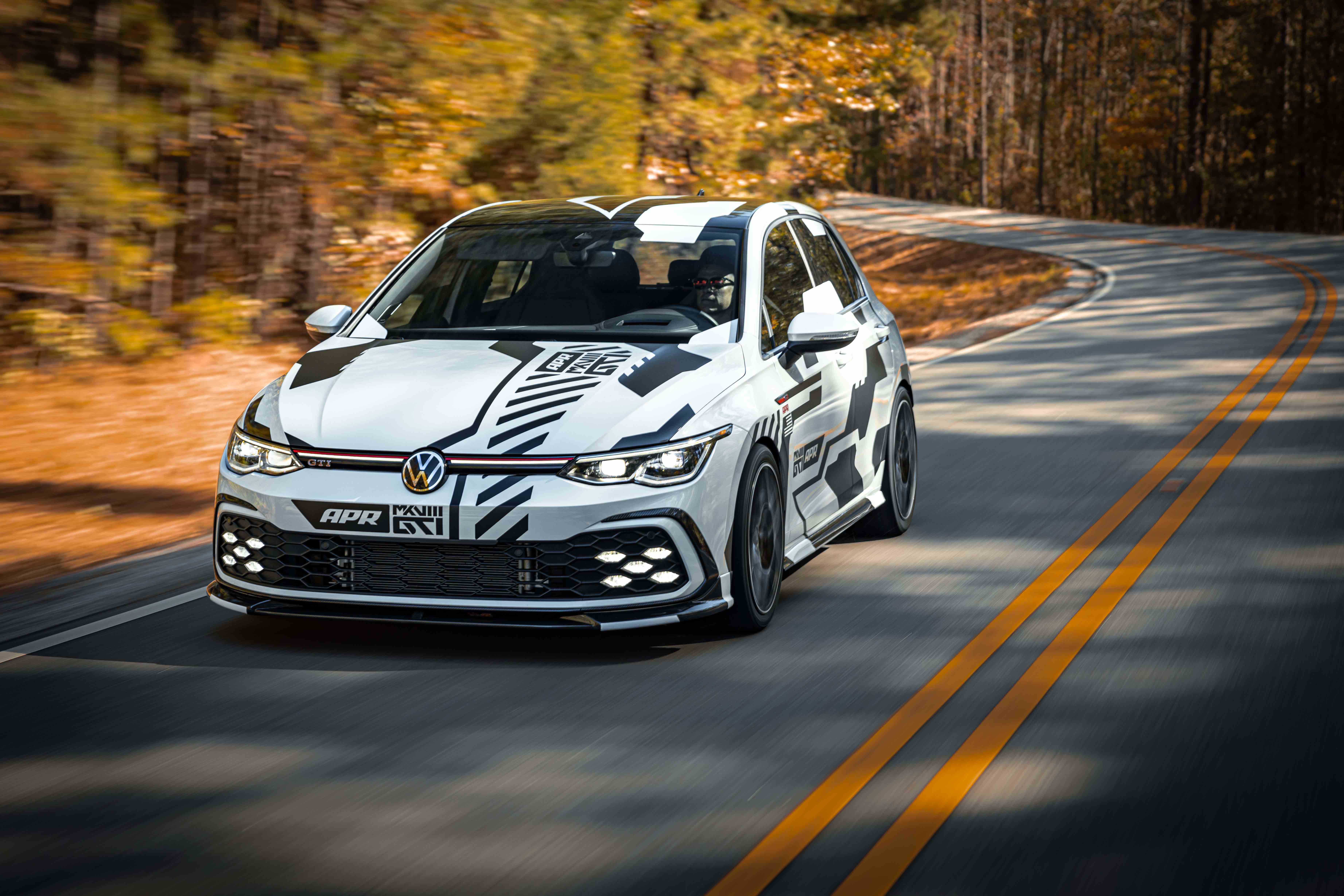 /governance/committee-composition